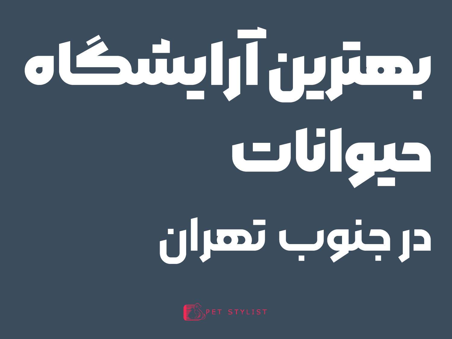 بهترین آرایشگاه سگ در جنوب تهران